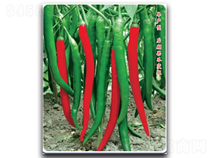 ����(y��u)��̖-�����N��-�մ��r(n��ng)�I(y��)