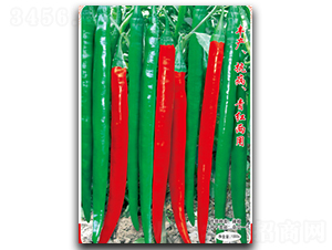 ���S����-�����N��-�մ��r(n��ng)�I(y��)