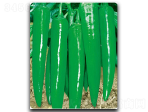 ���S����-�����N��-�մ��r(n��ng)�I(y��)