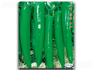 ���S168-�����N��-�մ��r(n��ng)�I(y��)