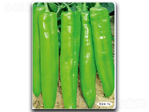 �������S-�����N��-�մ��r(n��ng)�I(y��)