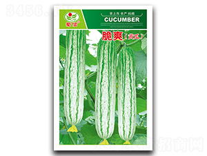 ��ˬ-�S�ϷN��-���ŷN�I(y��)