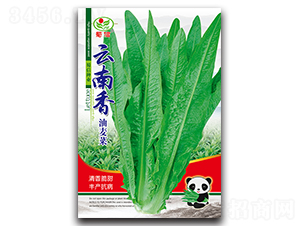 ������-�����˷N��-���ŷN�I(y��)