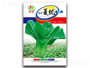 �����ă�(y��u)-��˷N��-���ŷN�I(y��)