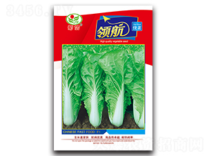 �I(l��ng)�����-��˷N��-���ŷN�I(y��)