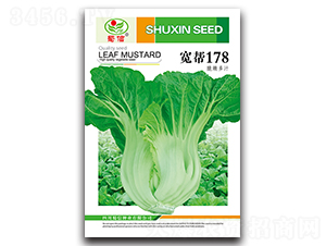 ����178-��˷N��-���ŷN�I(y��)