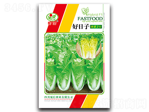 �����ӿ��2̖(h��o)-��˷N��-���ŷN�I(y��)