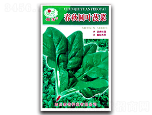 ����A�~����-���˷N��-���ŷN�I(y��)