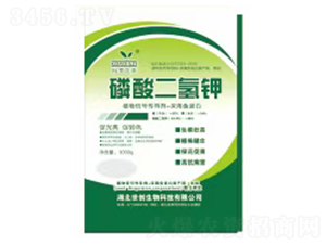 ��������-������-����(chu��ng)����