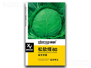 ��ܛ�G60-���{(l��n)�N��-���зN�I(y��)