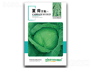 �ĺ�-���{�N��-���зN�I(y��)