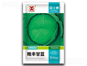 ���S-���{�N��-���зN�I(y��)