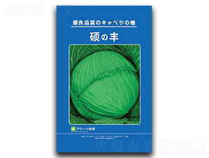 �T�S-���{�N��-���зN�I(y��)