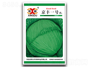 ���Sһ̖-���{�N��-���зN�I(y��)