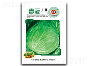 ����-���{�N��-���зN�I(y��)