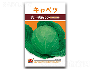 ���F�^50-���{�N��-���зN�I(y��)