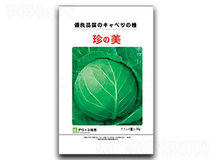 ����-���{�N��-���зN�I(y��)