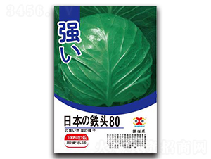 �ձ��F�^80-���{(l��n)�N��-���зN�I(y��)