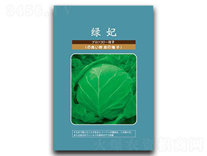 �G��-���{(l��n)�N��-���зN�I(y��)