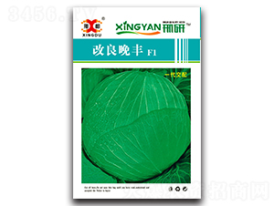 �������S-���{(l��n)�N��-���зN�I(y��)