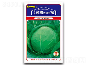 �����F����70-���{(l��n)�N��-���зN�I(y��)