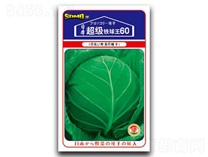 �����F����60-���{(l��n)�N��-���зN�I(y��)