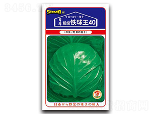 �����F����40-���{(l��n)�N��-���зN�I(y��)