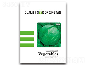 �G��-���{(l��n)�N��-���зN�I(y��)