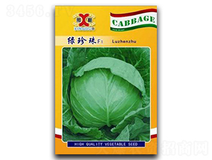 �G����-���{(l��n)�N��-���зN�I(y��)