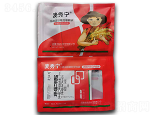 С�����݄��ײ�-���㌎-�S�՘�