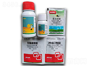 С�����݄��ײ�-�S�՘�