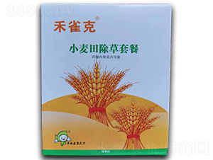 С�������ײ�-��ȸ��-�S�՘�