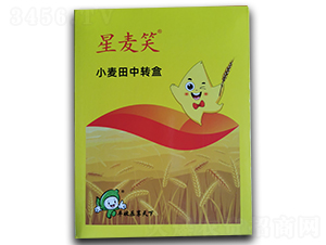 С��������ײ�-����Ц-�S�՘�