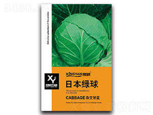 �ձ��G��-���{(l��n)�N��-���зN�I(y��)