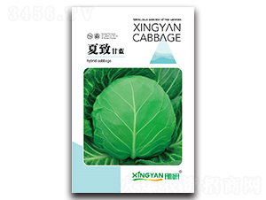 ����-���{(l��n)�N��-���зN�I(y��)