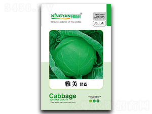 ����-���{(l��n)�N��-���зN�I(y��)