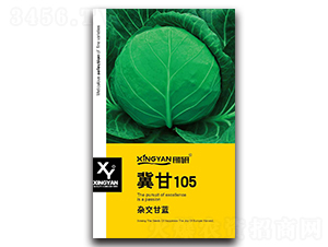 ����105-���{(l��n)�N��-���зN�I(y��)