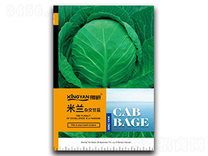 ���m-���{(l��n)�N��-���зN�I(y��)