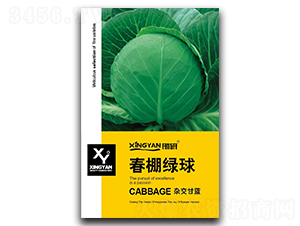 ����G��-���{(l��n)�N��-���зN�I(y��)