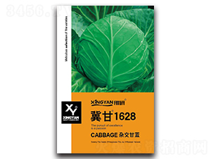 ����1628-���{(l��n)�N��-���зN�I(y��)