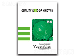 ��(y��u)��-���{(l��n)�N��-���зN�I(y��)