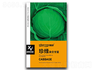 ��G-���{(l��n)�N��-���зN�I(y��)