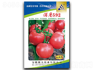 �Z��592�������_����ͣ�-���ѷN��-�մ��r(n��ng)�I(y��)