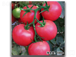 �Z��12024-���ѷN��-�մ��r(n��ng)�I(y��)