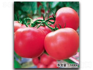 �Z��1023-���ѷN��-�մ��r(n��ng)�I(y��)