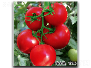 �Z��11189-���ѷN��-�մ��r(n��ng)�I(y��)