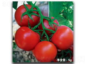 �Z��9020-���ѷN��-�մ��r(n��ng)�I(y��)