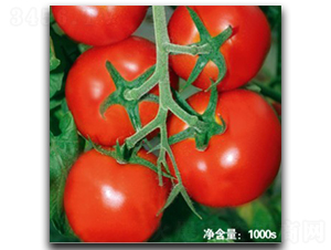 �Z��T115-���ѷN��-�մ��r(n��ng)�I(y��)