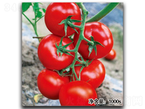 �Z��0470-���ѷN��-�մ��r(n��ng)�I(y��)