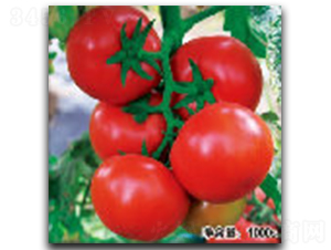 �Z��0329-���ѷN��-�մ��r(n��ng)�I(y��)